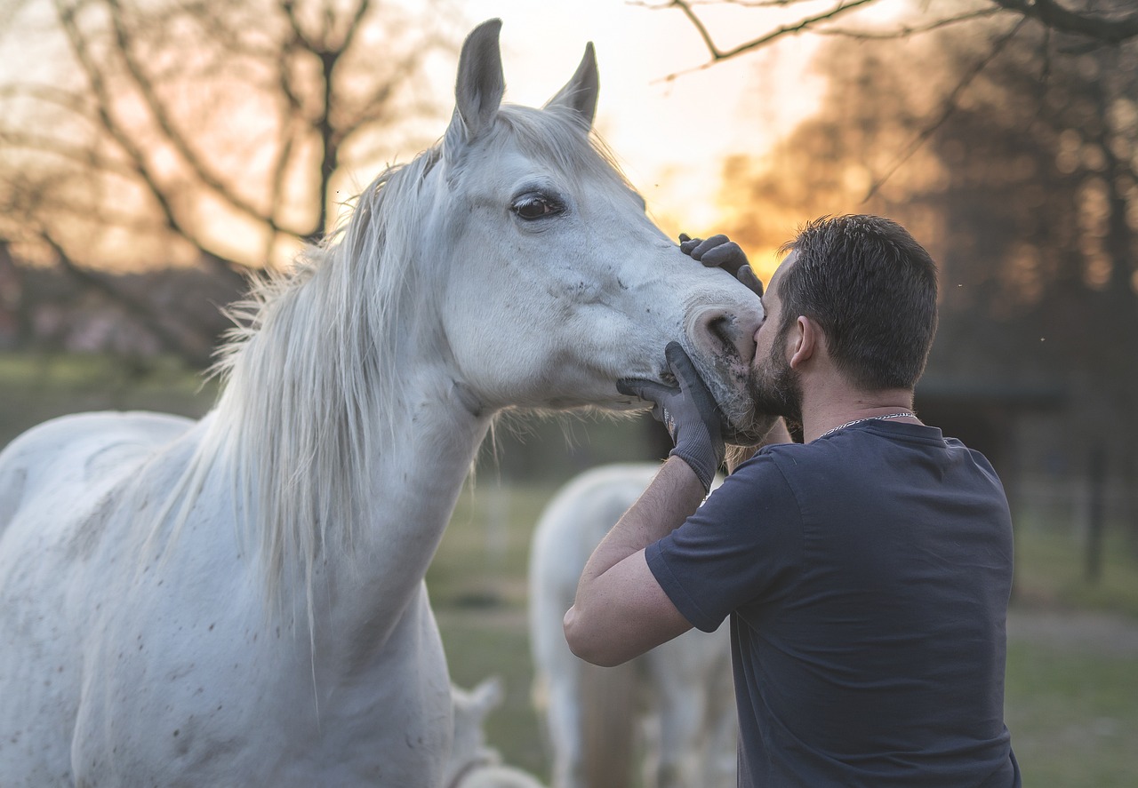 A man kissing a horse on the nose